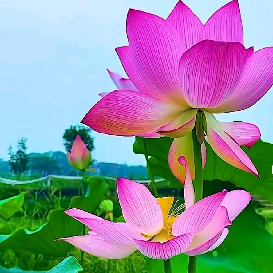 一眼万年