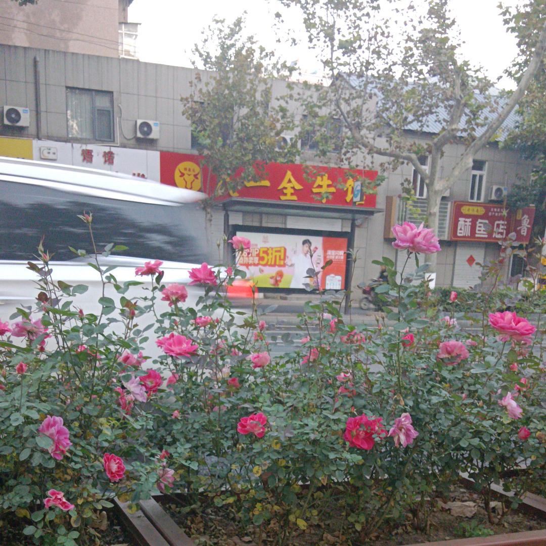 礼尚往来
