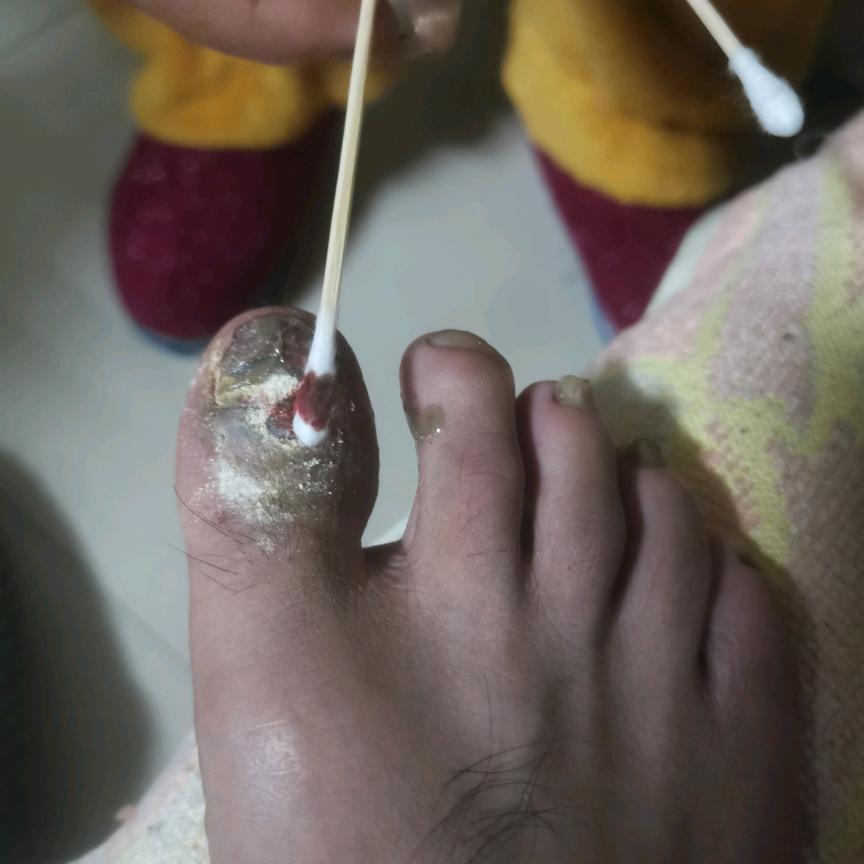 羅伯特