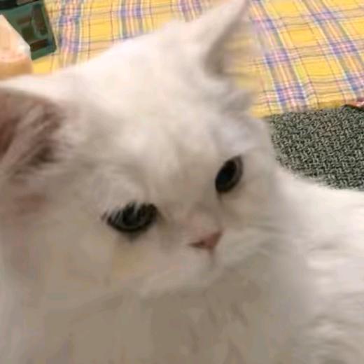 Hi  陌生人