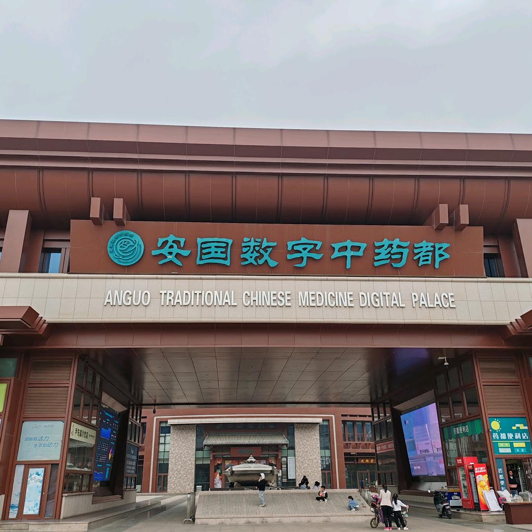 安国药市