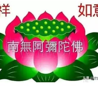 🍎🍎🍎阿弥陀佛。🙏🙏🙏👫