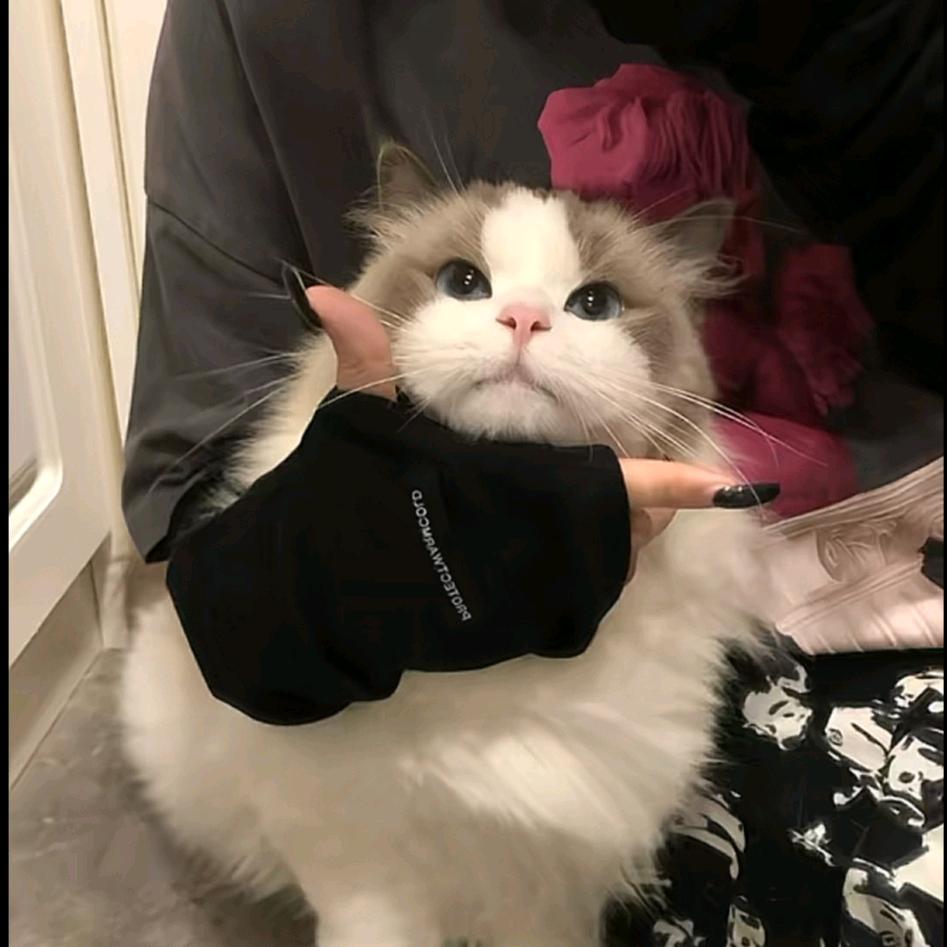 芊芊岁穗（定制看主页）