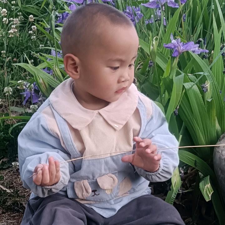 时光倒流