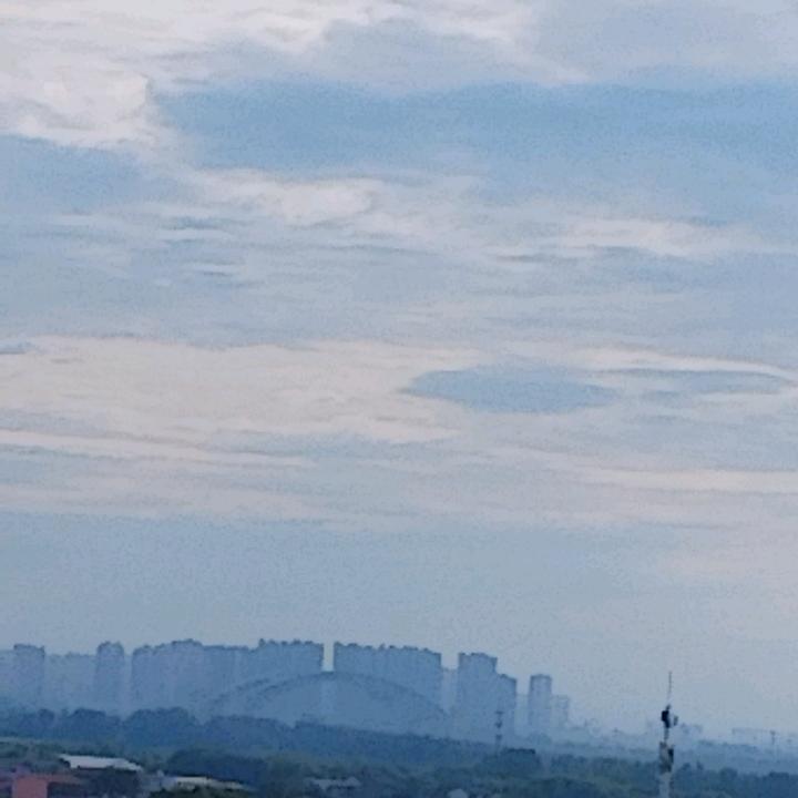 蛇行天下