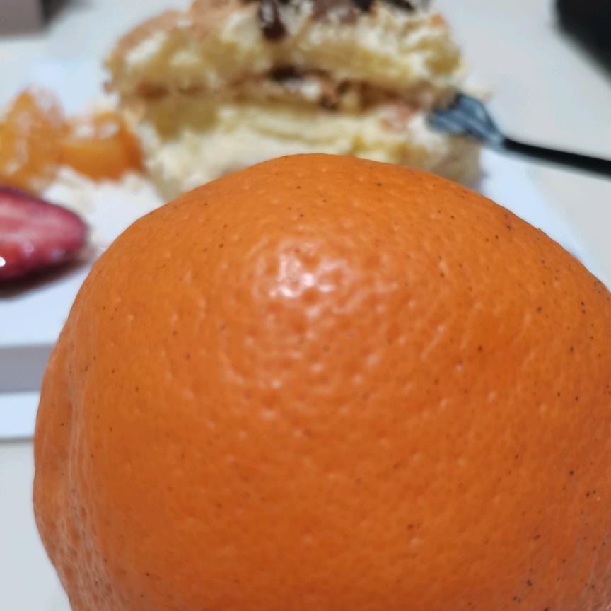 向太阳