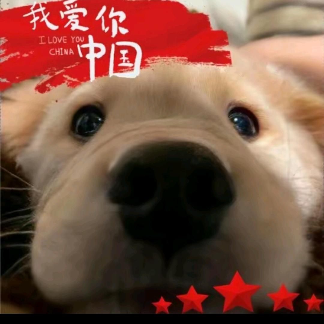 蛋壳火柴人。
