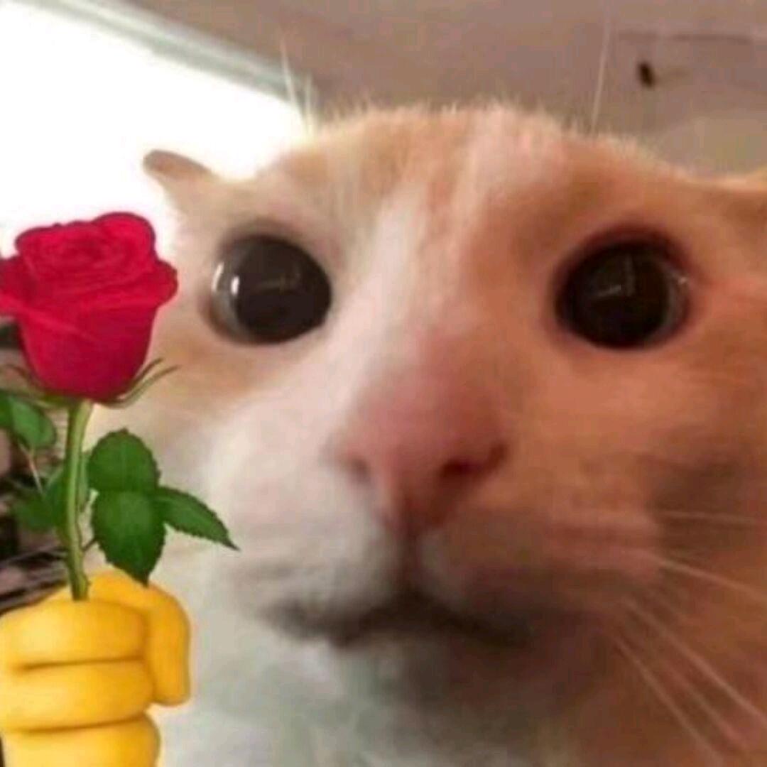 @_3