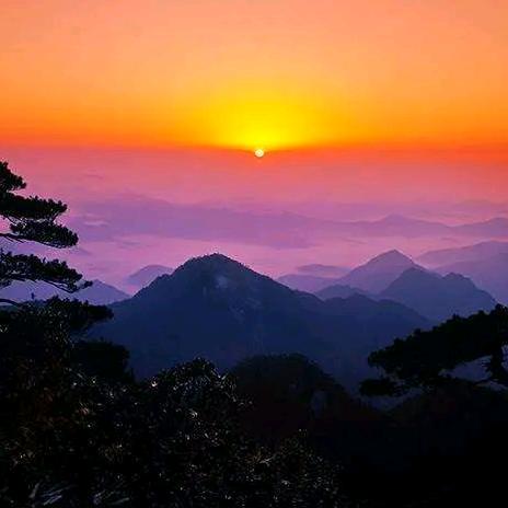 负债前行，逆风翻盘