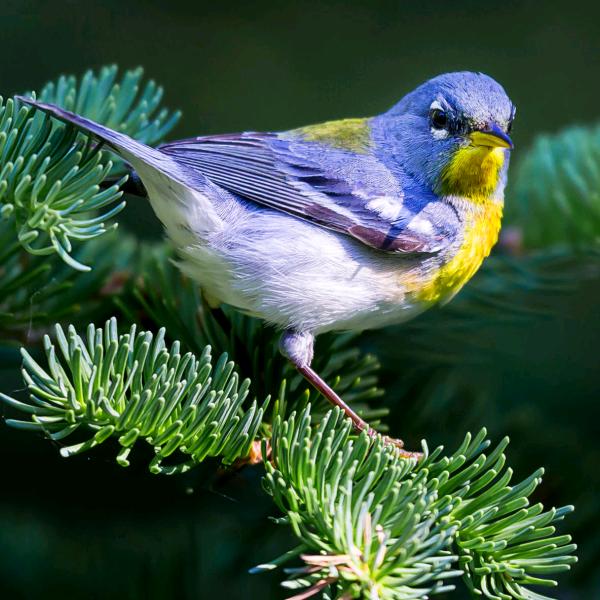 💕ᥫᦸᐝ余生ঐ安好ཀ࿐