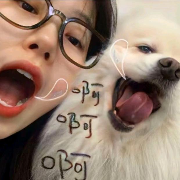 李什么啊