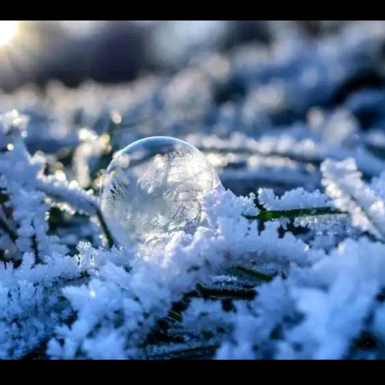 ❤️六月雪花