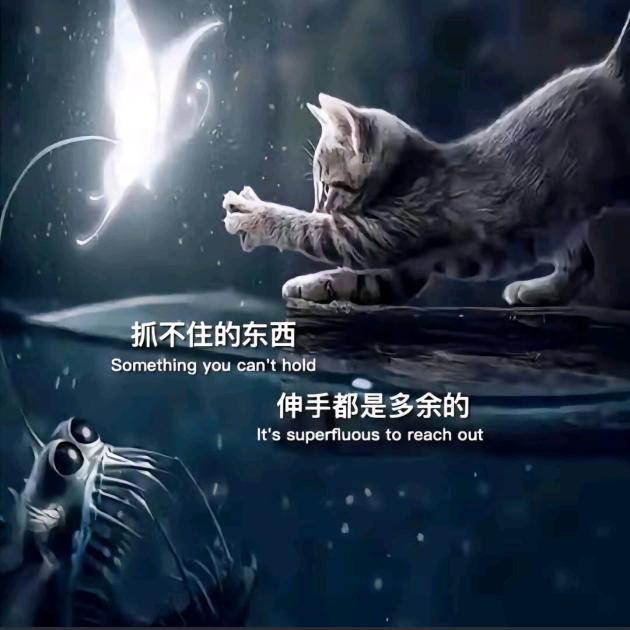 ༿清༼༽零༾
