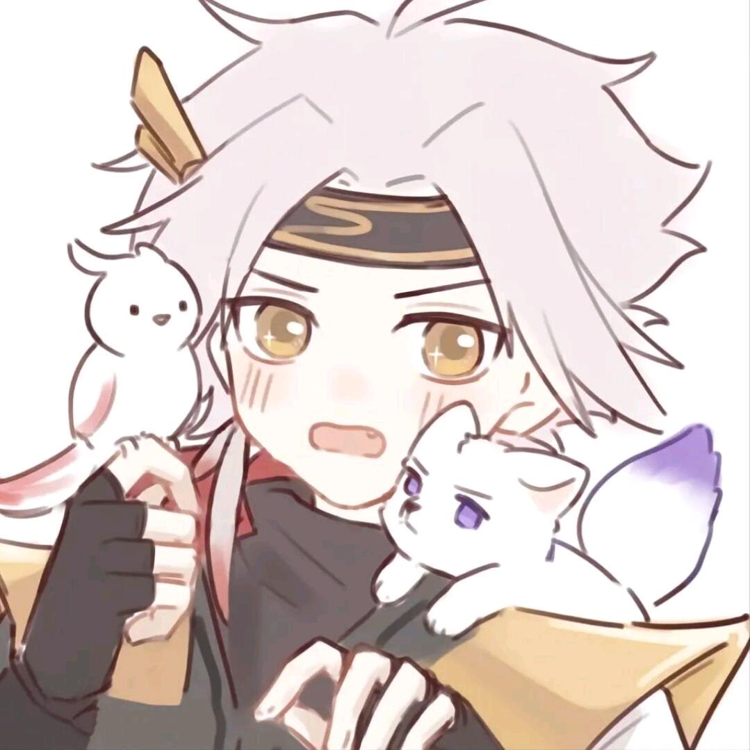 小龙