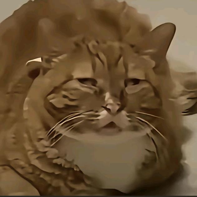 爱吃草莓味的秋刀鱼