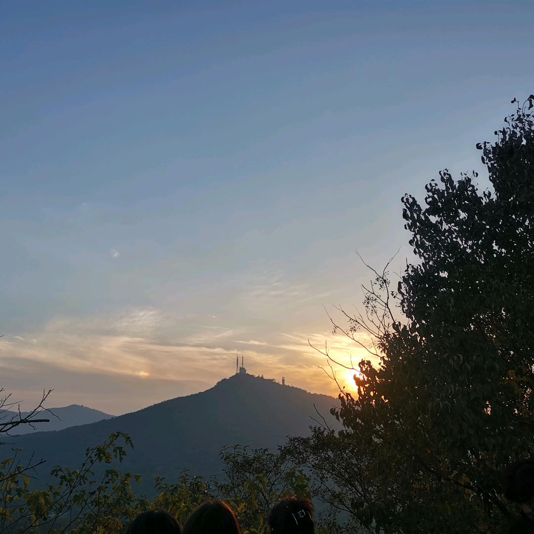 浅浅的夏日