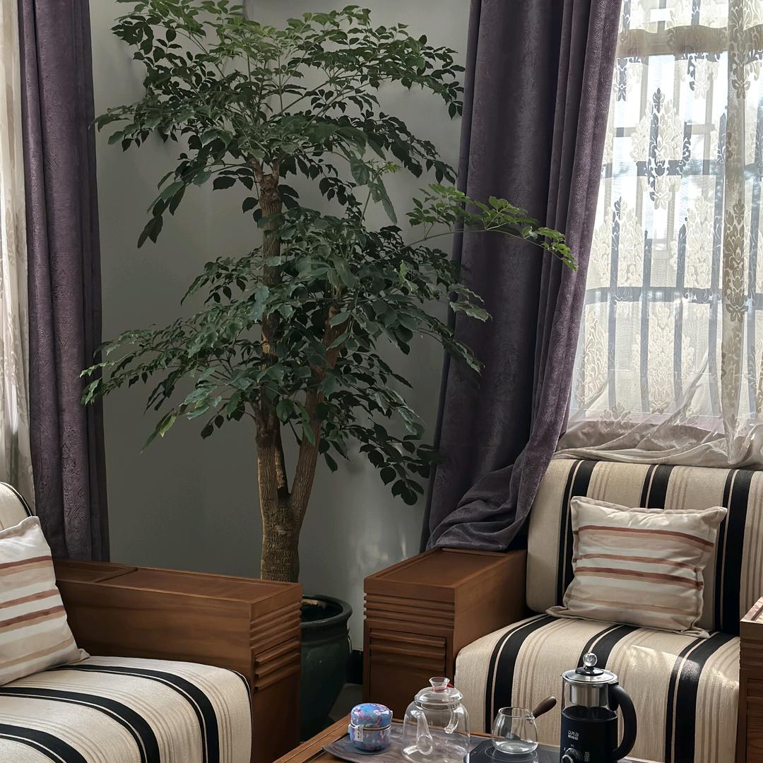 仰望星空（谢绝私聊）