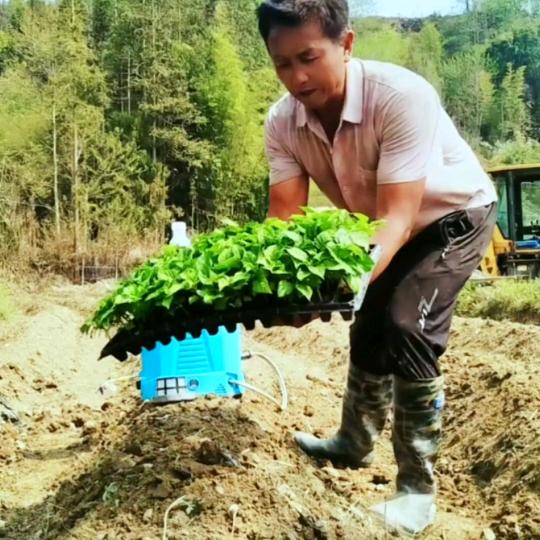 小鱼农资