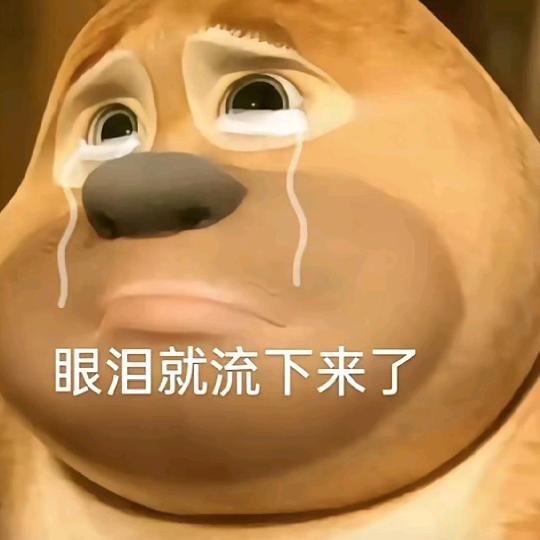 落叶🍂