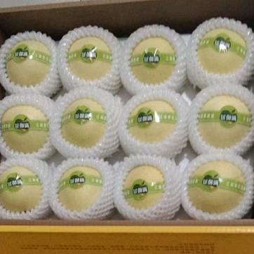 00后河北梨小哥