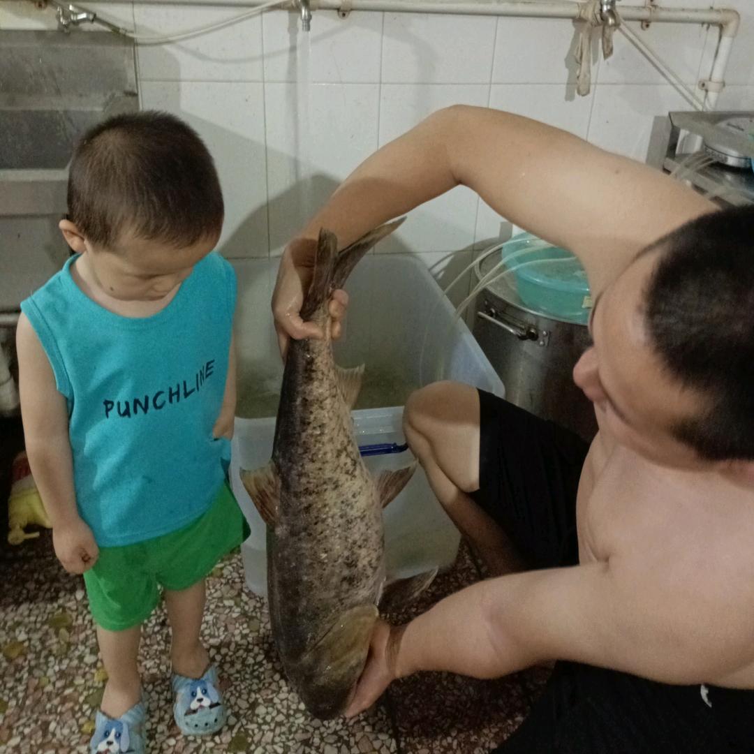 行走岸边