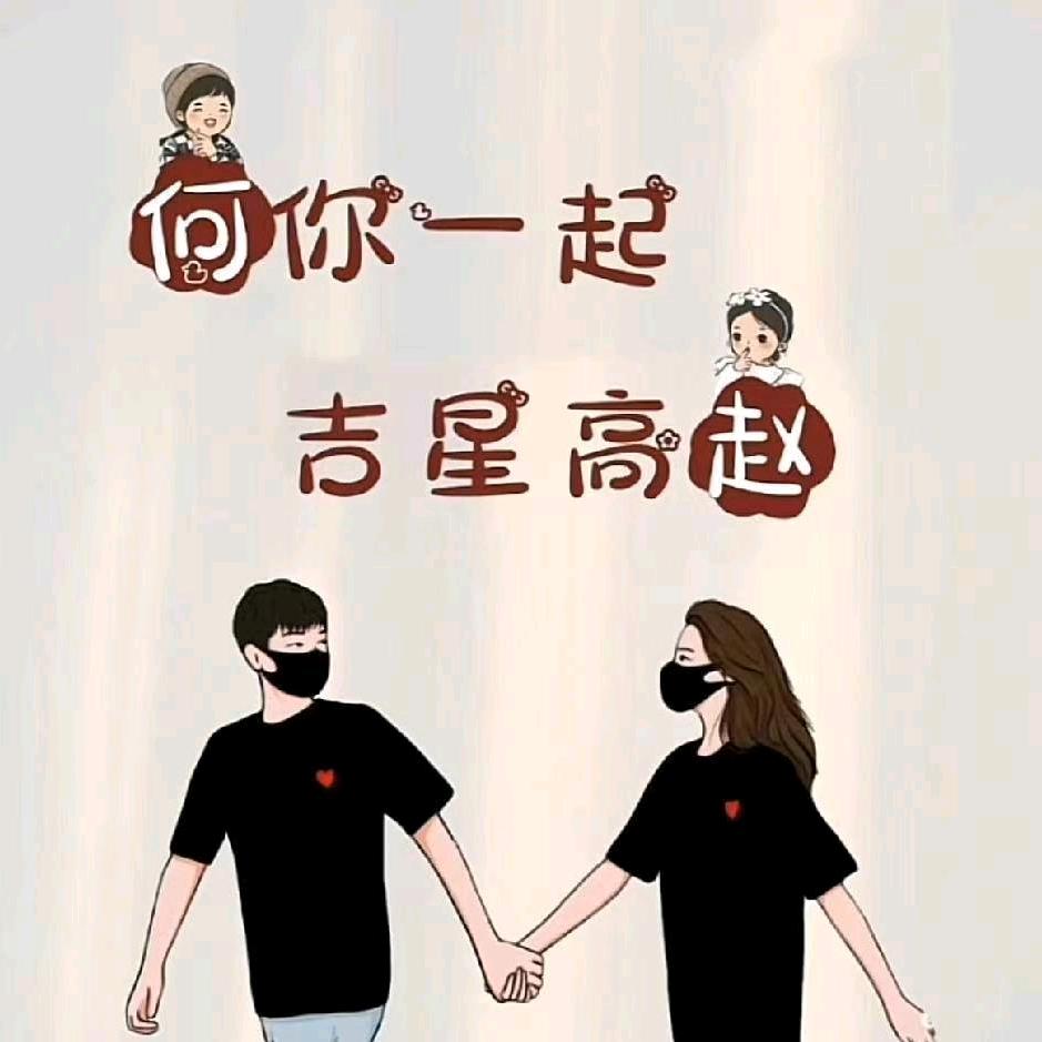 一只何包蛋