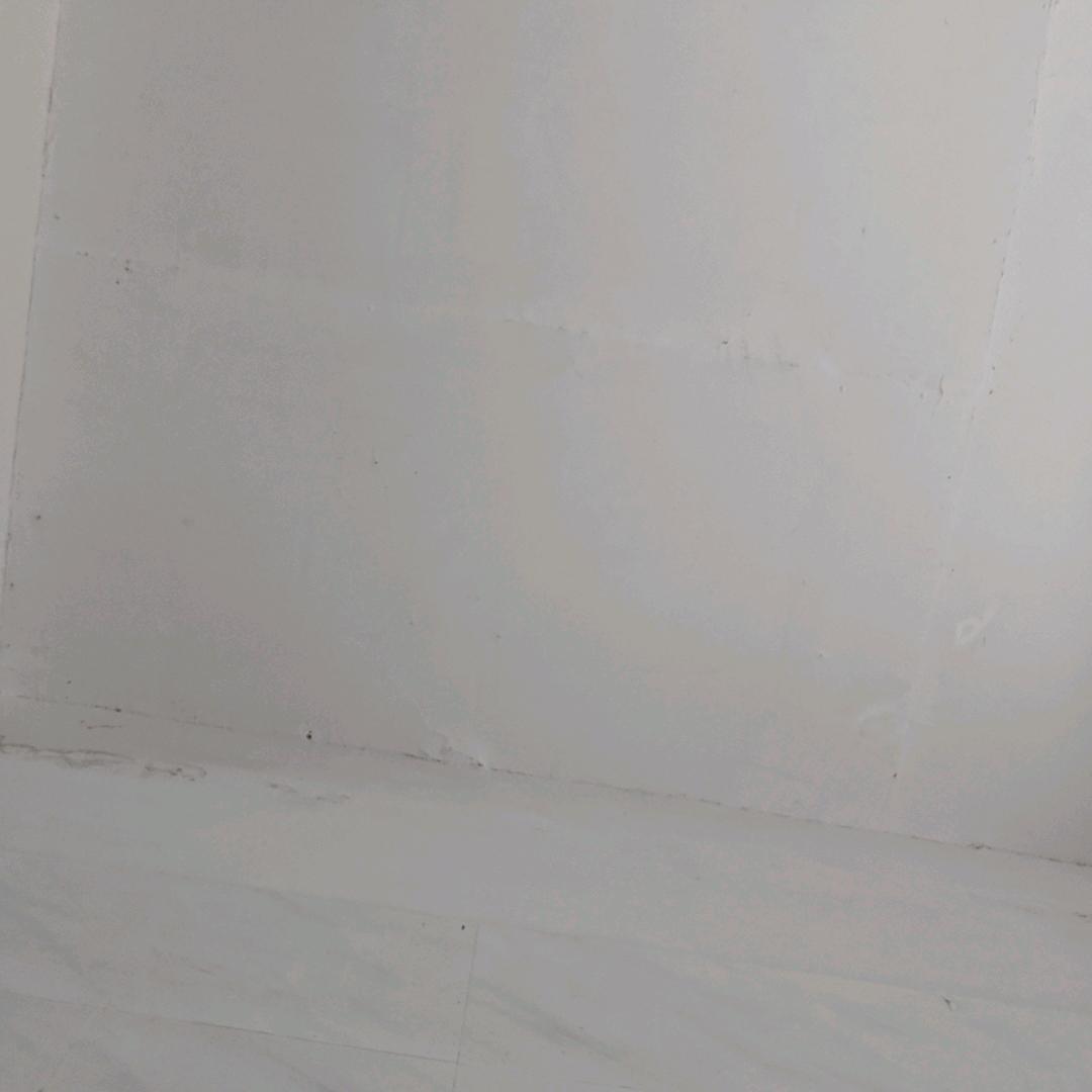 傻傻的分不清楚