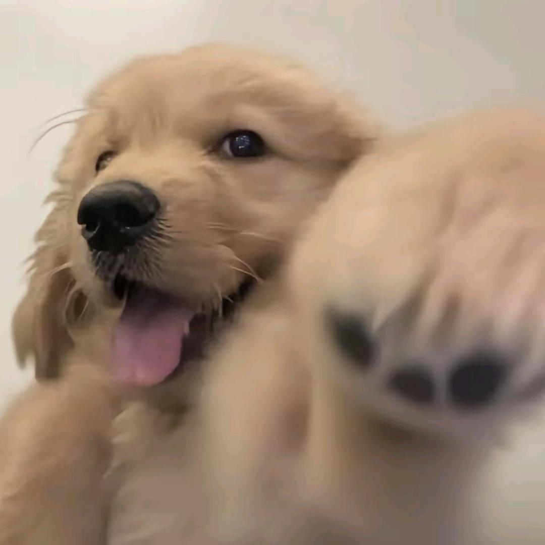 南阳TNT酒吧KTV 小梅