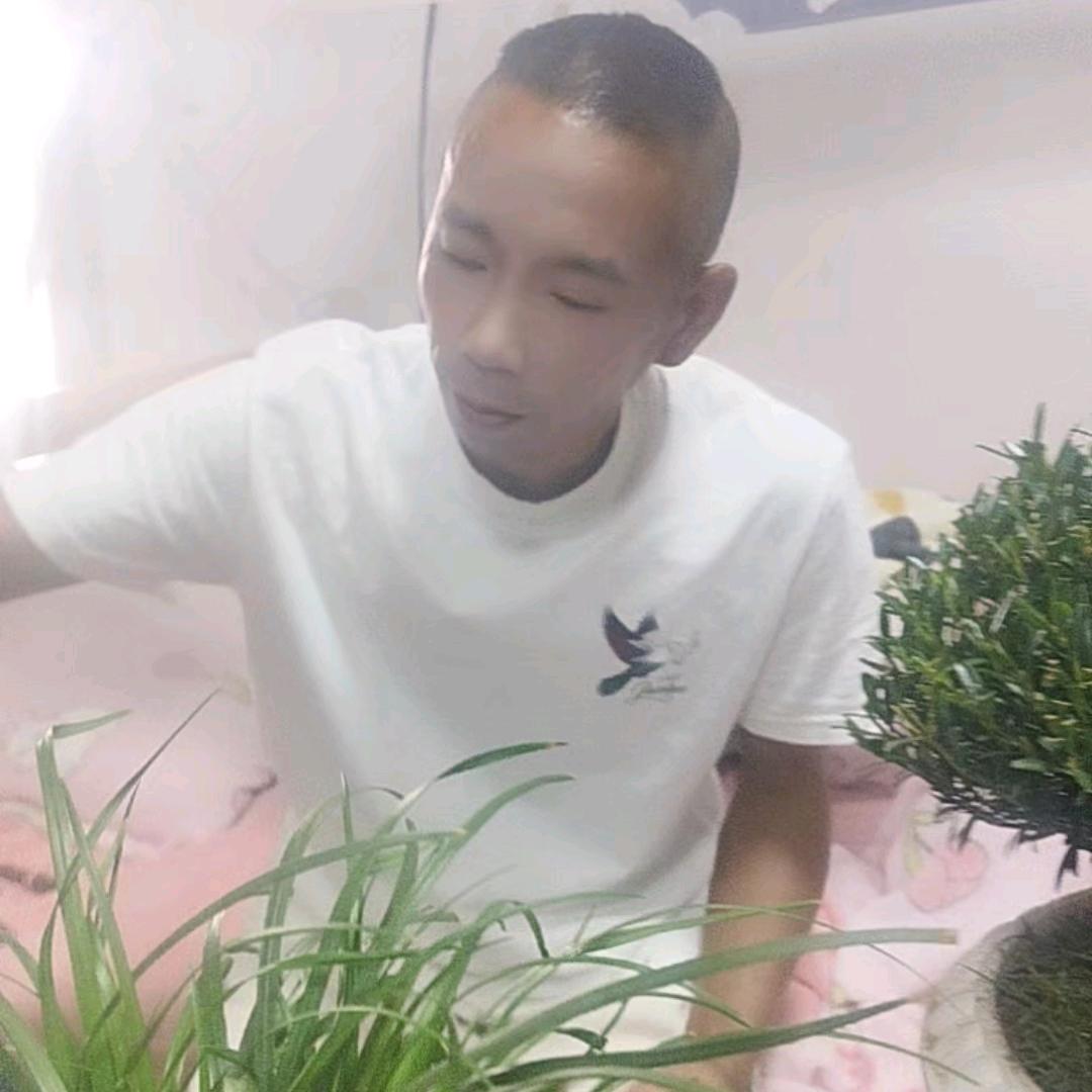心随你动