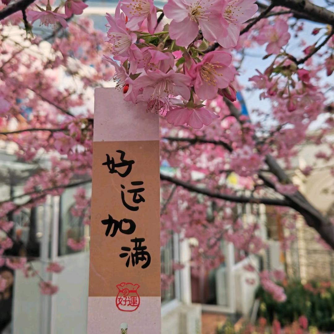 小吴助理