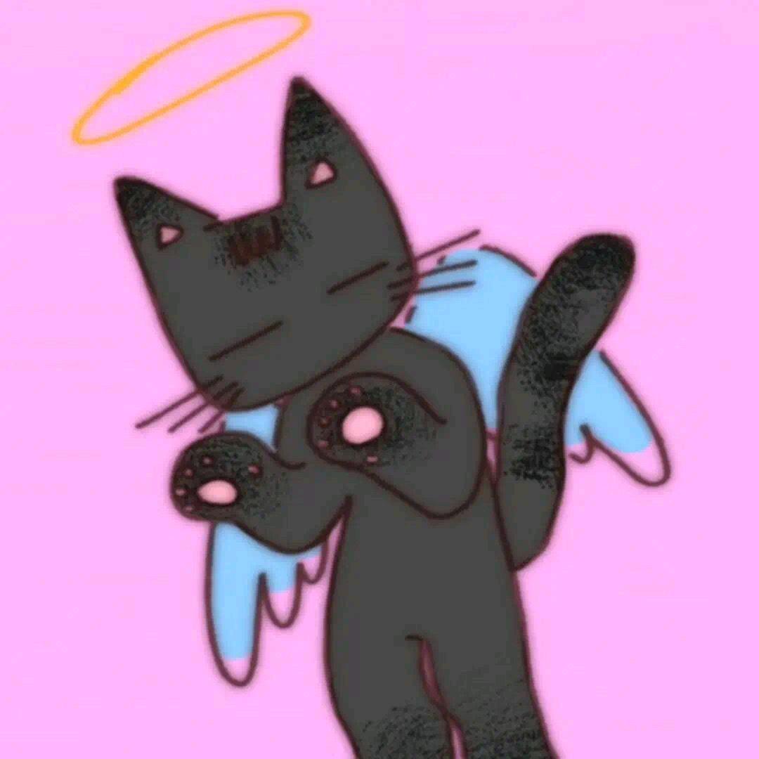韓可以˙Ⱉ˙