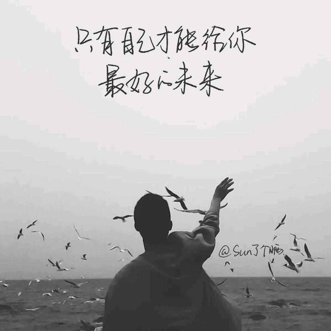 遥望～