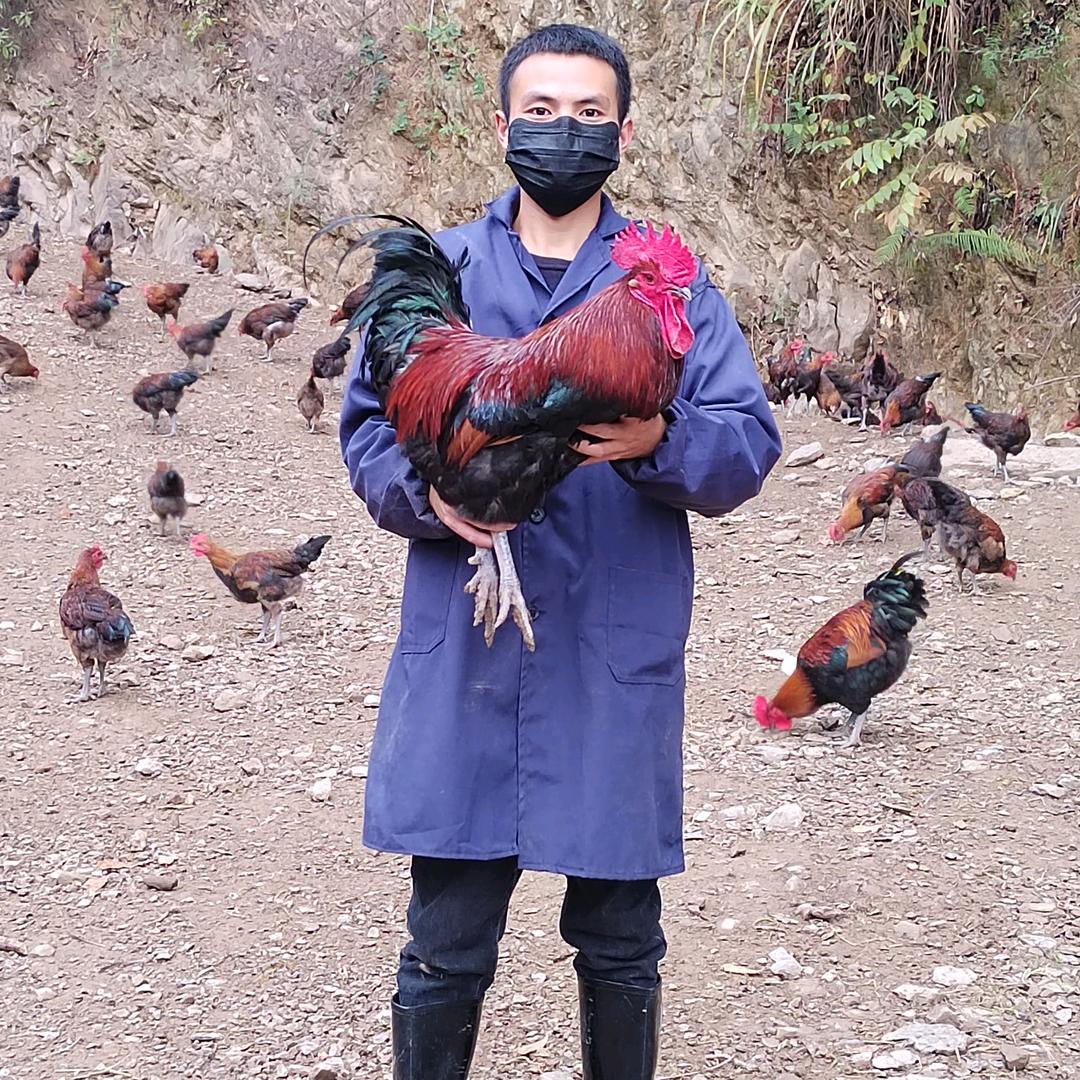 叁财湾家禽种养殖场