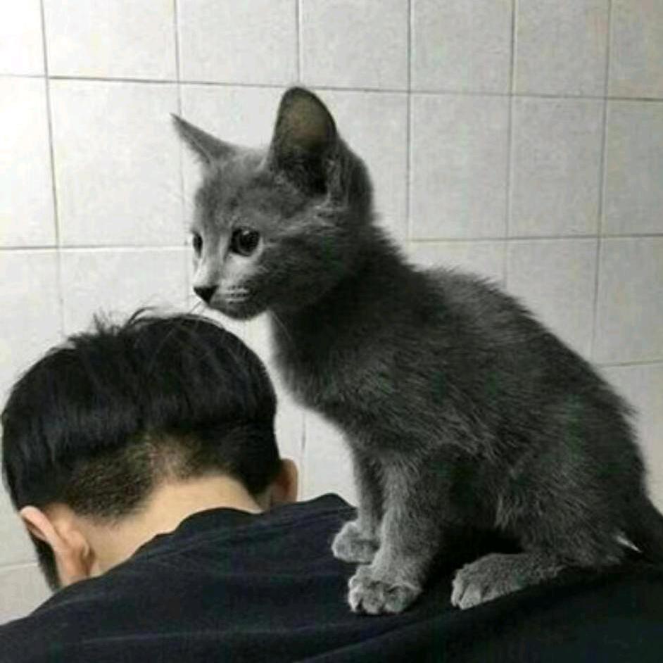 ° 一念初见。ご