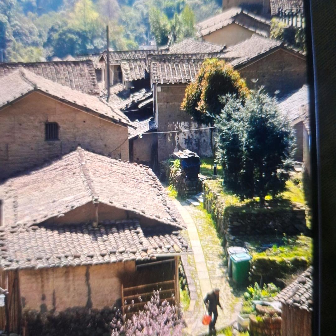 小张头抖音
