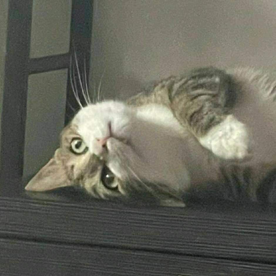 故事东南