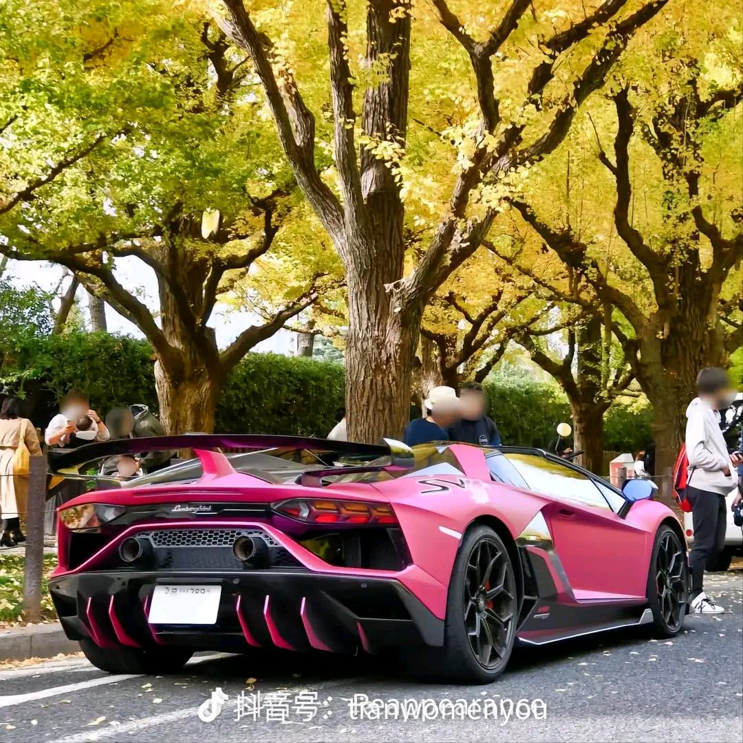 👈我上去就是一把糯米