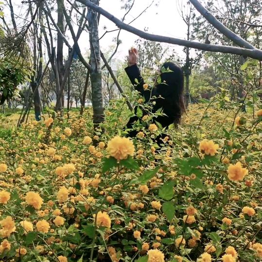 静等花开