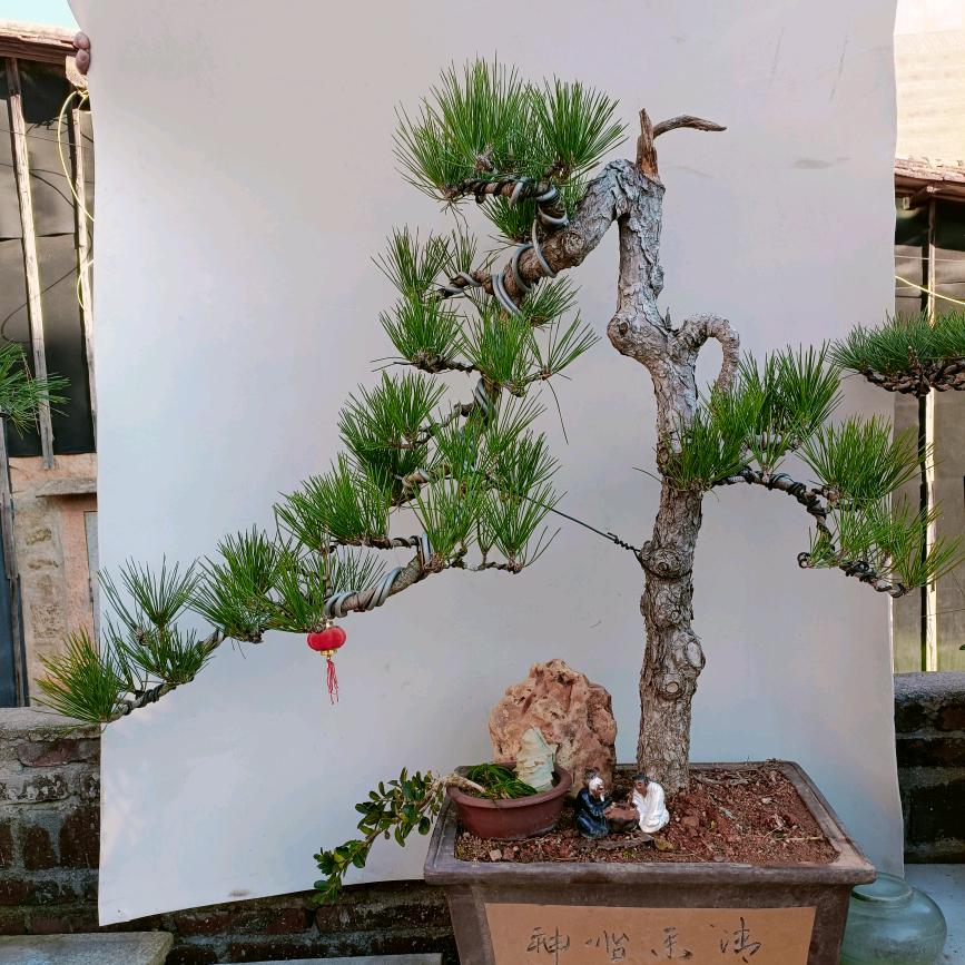 红尘哥
