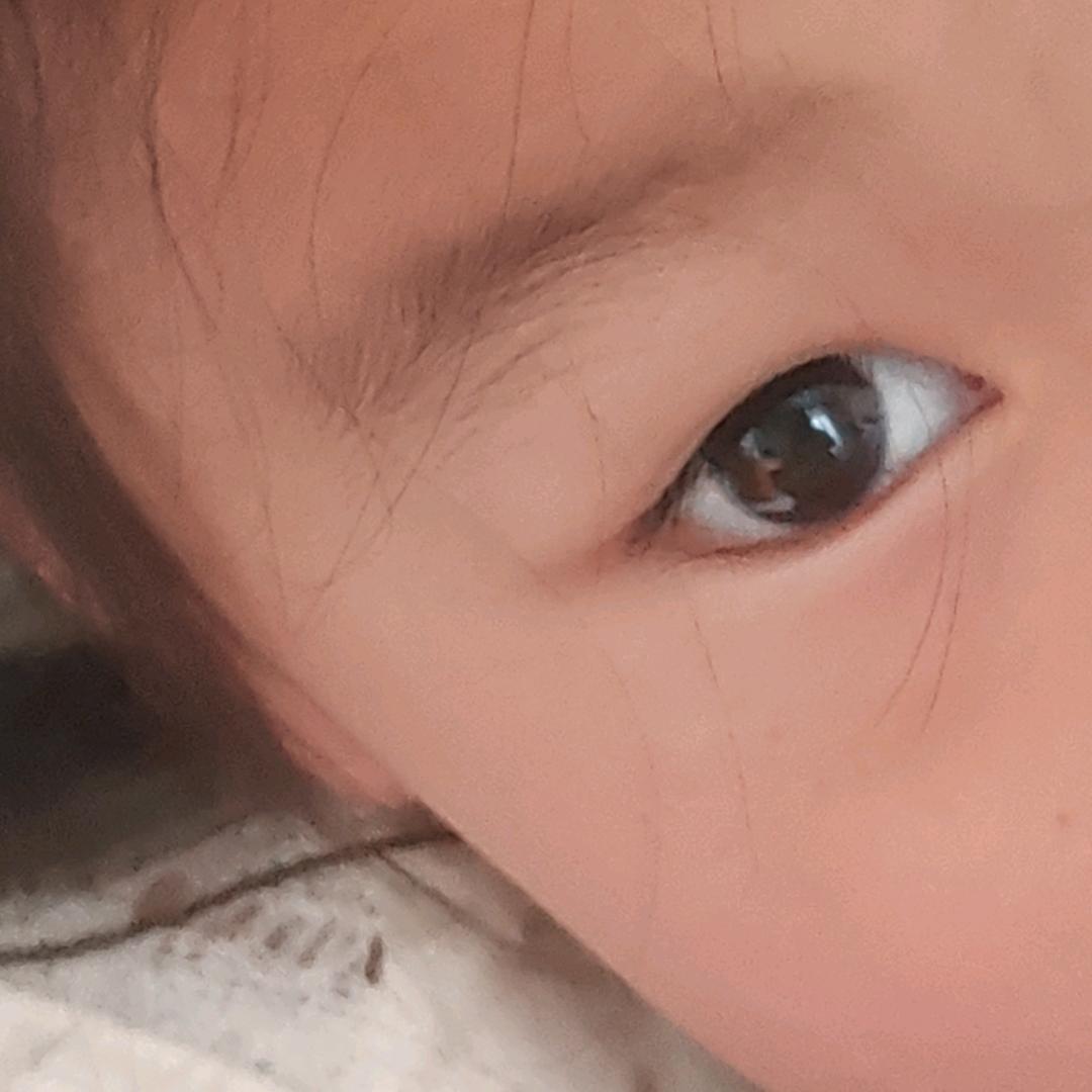 李子建
