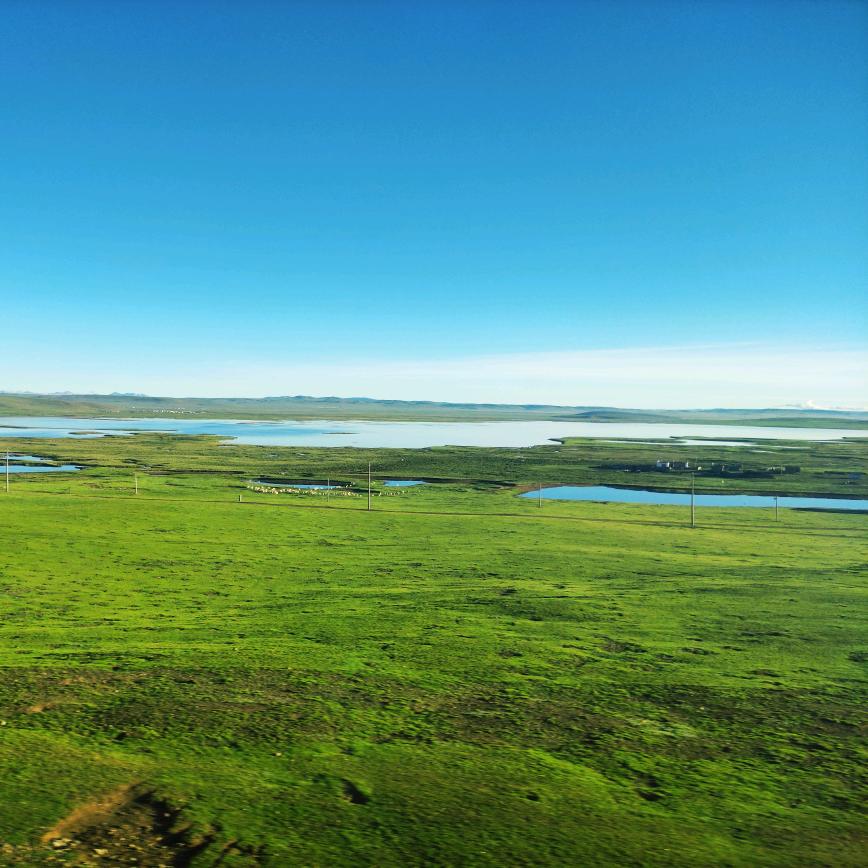 自由行走的浪花