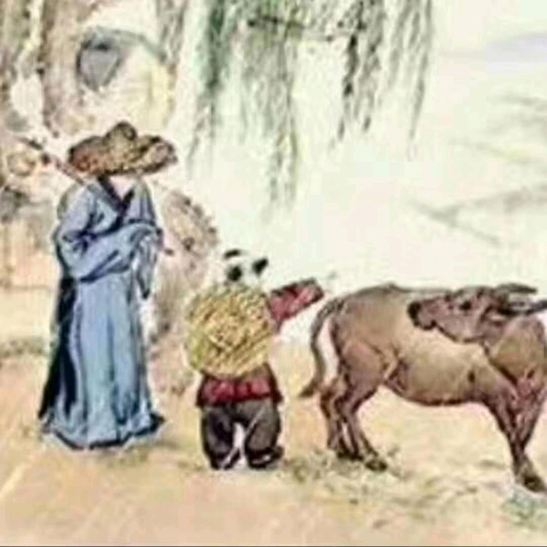 凡儿庄的哥们