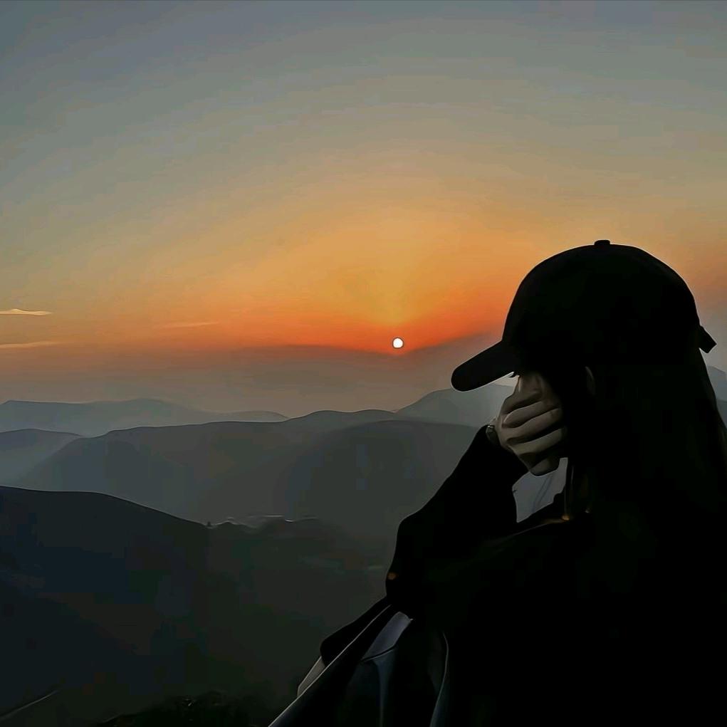 兰花桦风机厂店