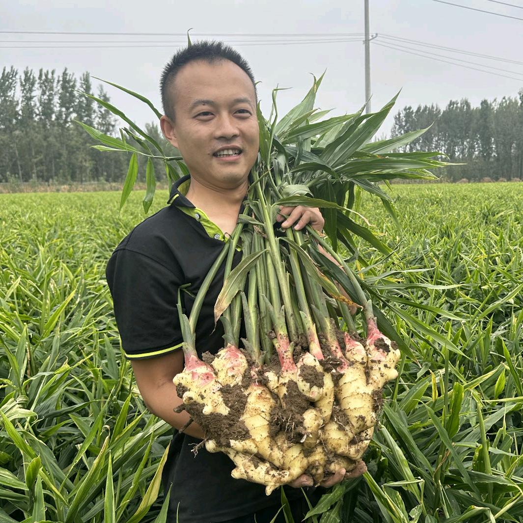 优者阳帆企业店