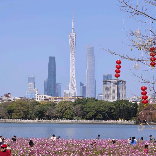 西西瓜瓜大西瓜