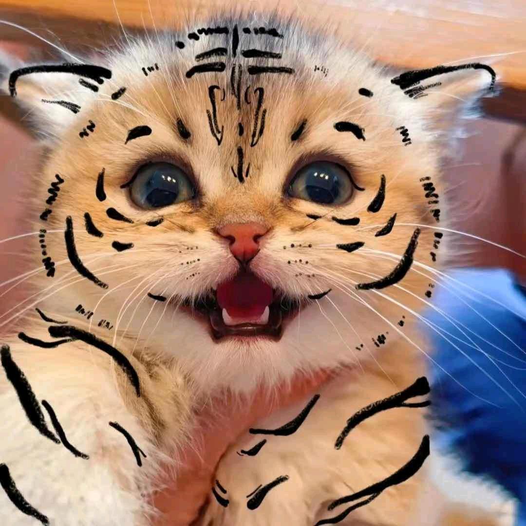 辣条的猫与狗