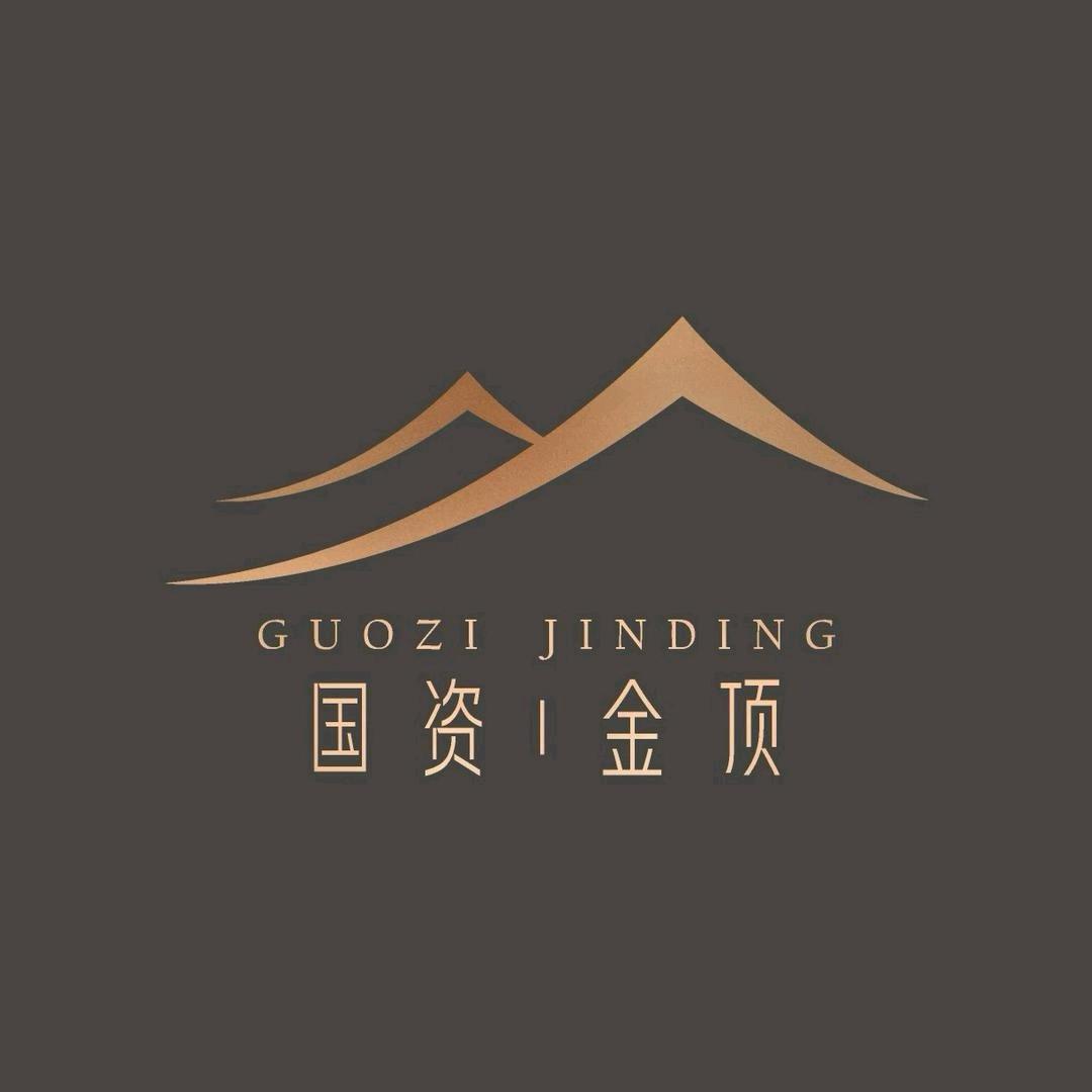 驻马店国资·金顶吴鑫🇨🇳
