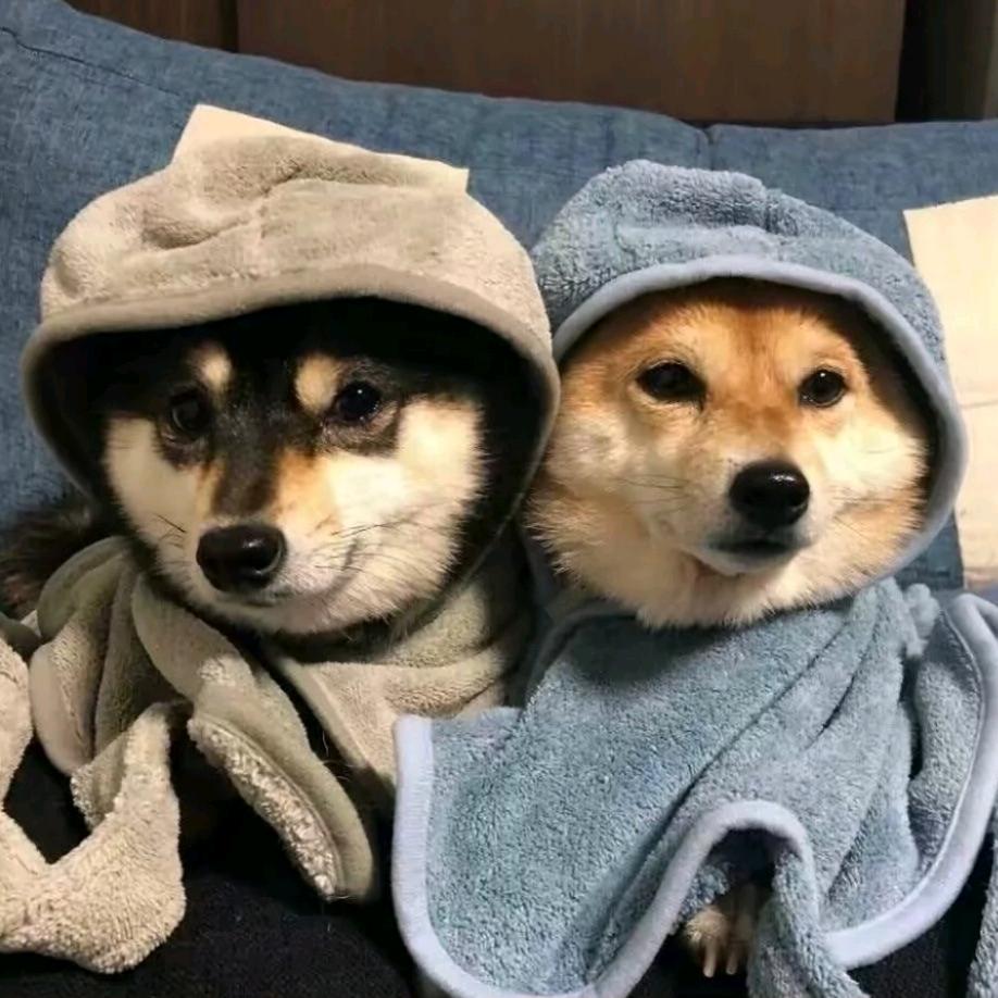 小丽丽