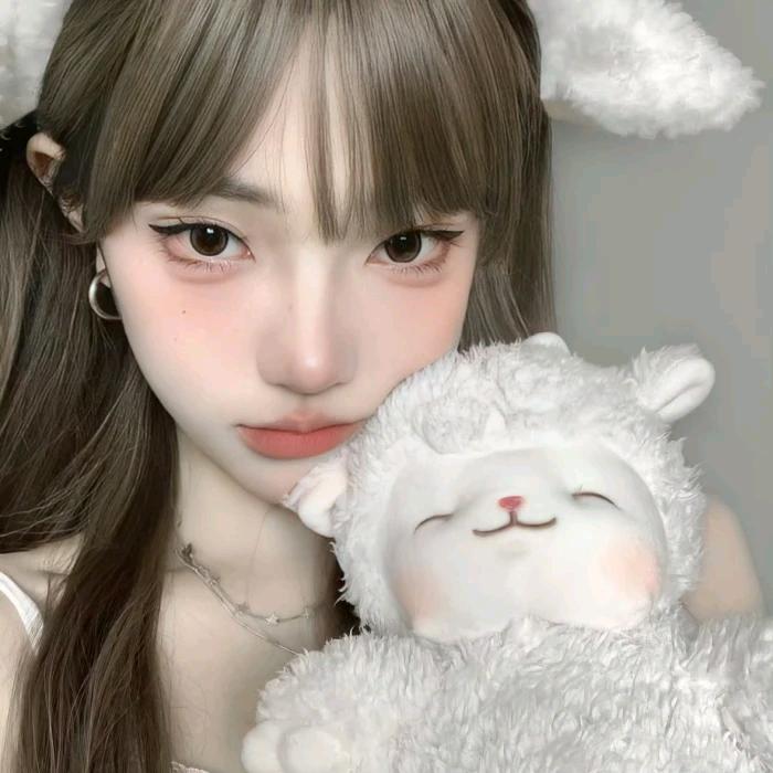 一只小眠羊