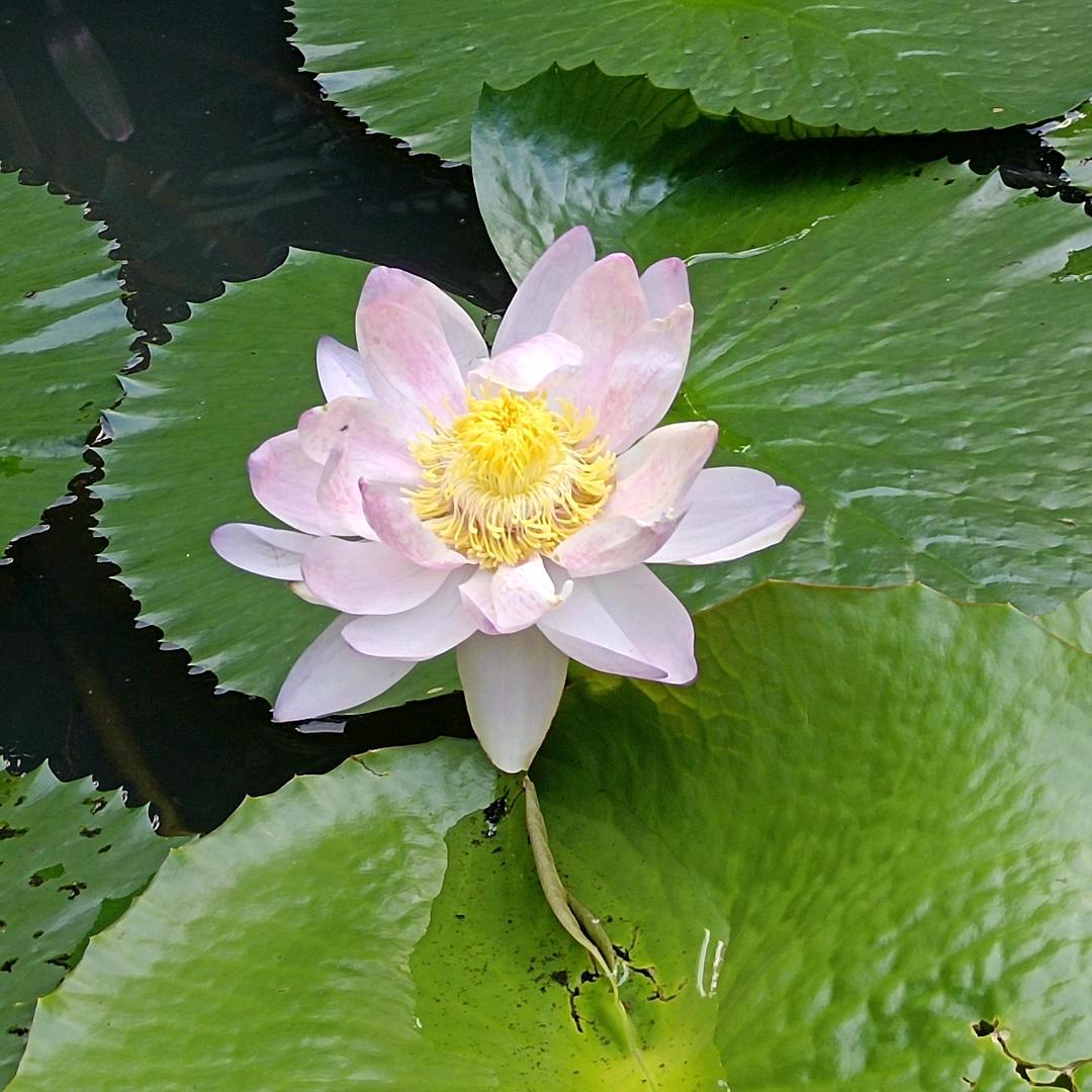 屋檐下的远方